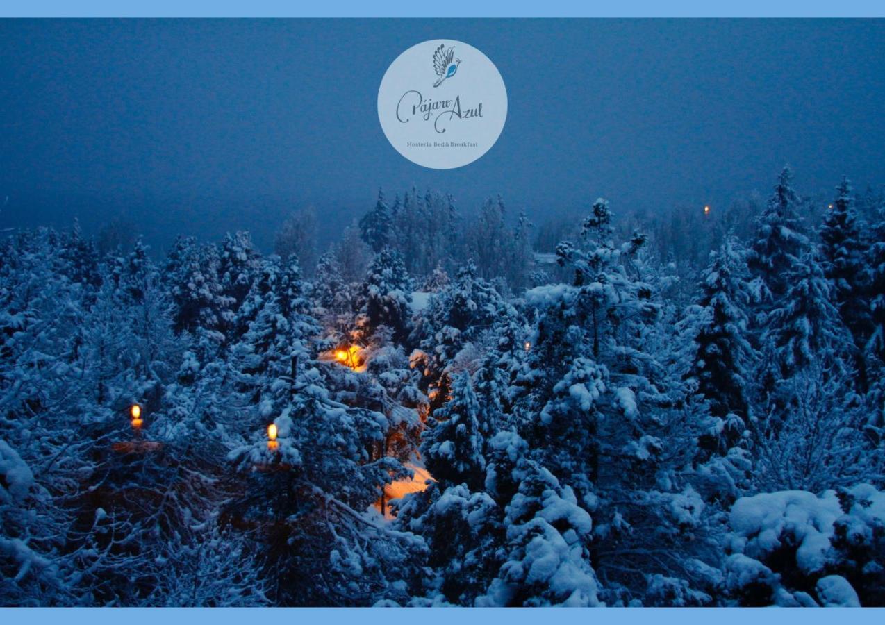 Pajaro Azul Bed & Breakfast San Carlos de Bariloche Eksteriør bilde